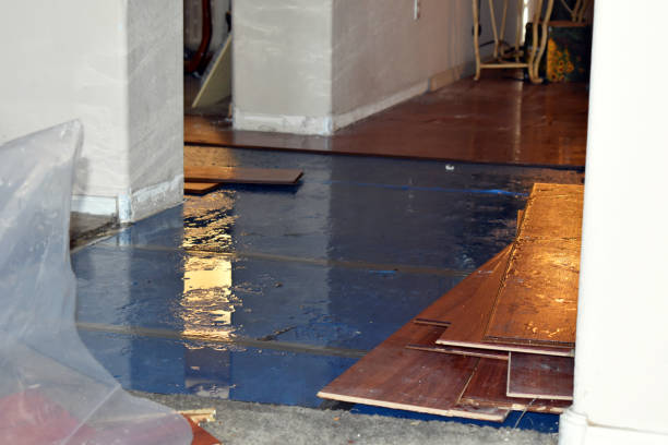 Professional Burst Pipe Cleanup technician working in Omaha, TX