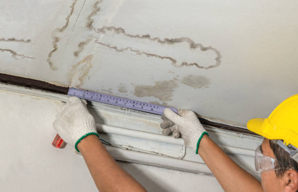 Reliable Burst Pipe Cleanup contractor in Omaha, TX by Water Damage Irwin
